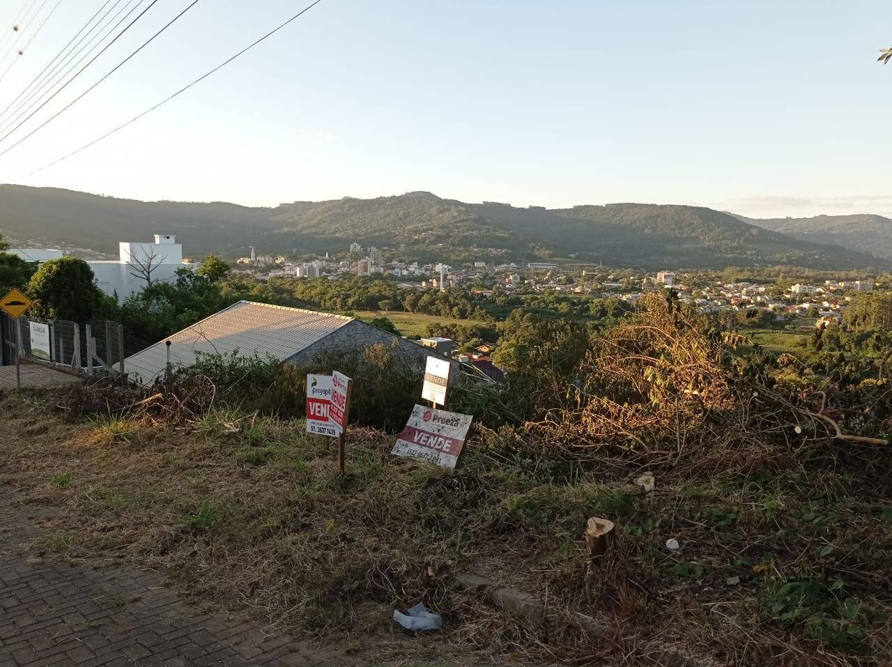 #1029 - Área para Venda em Feliz - RS