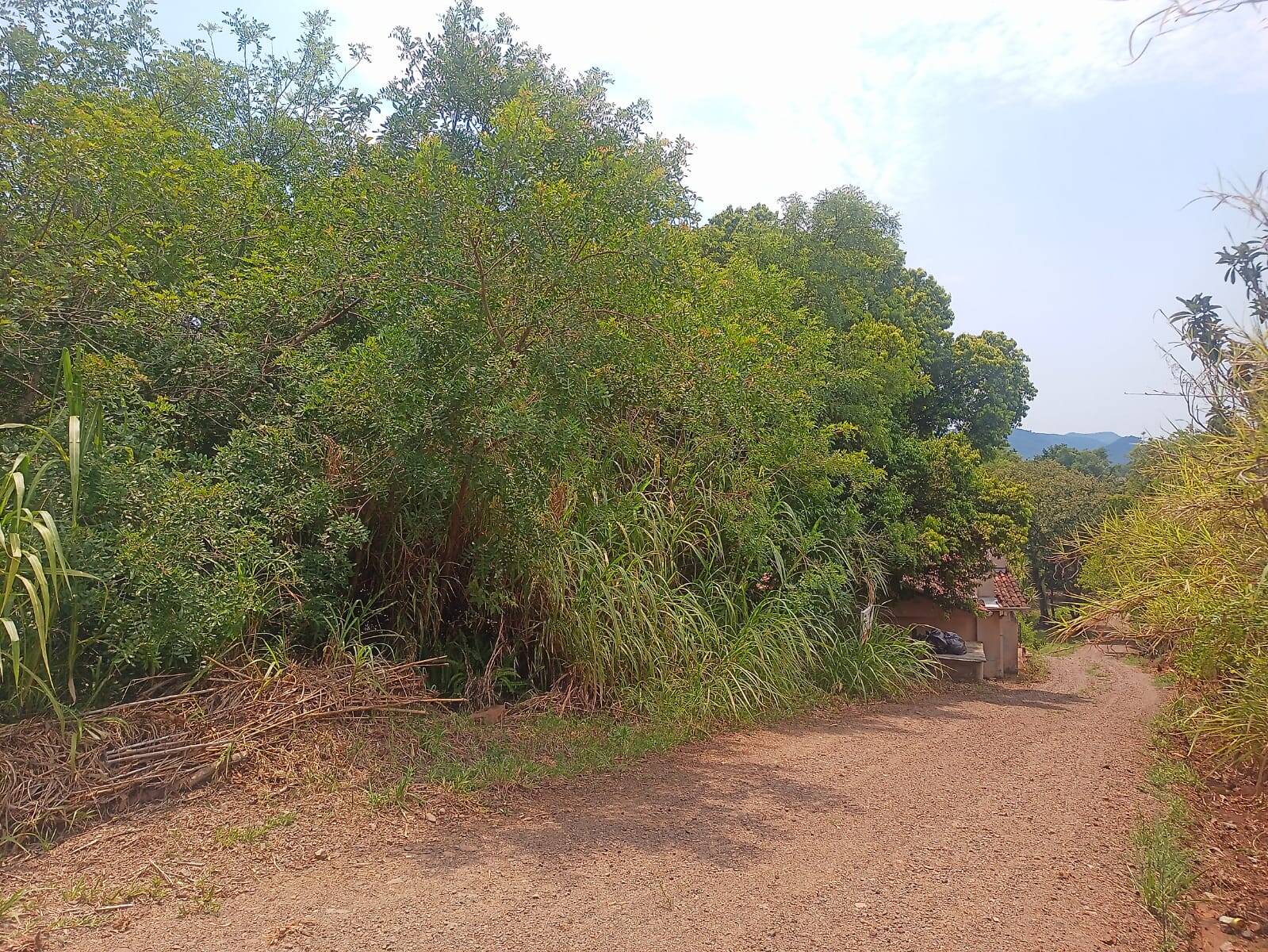 Área de 726m2 próxima a RS 452