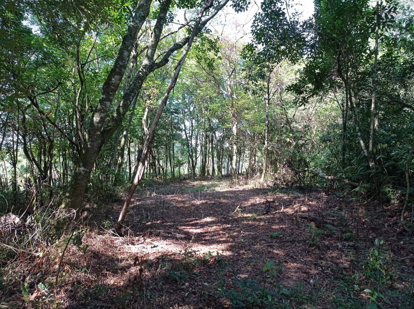 #1131 - Chácara para Venda em Vale Real - RS