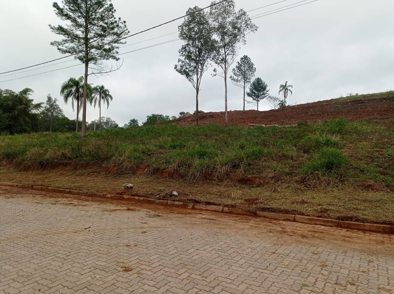 #1216 - Terreno para Venda em Feliz - RS