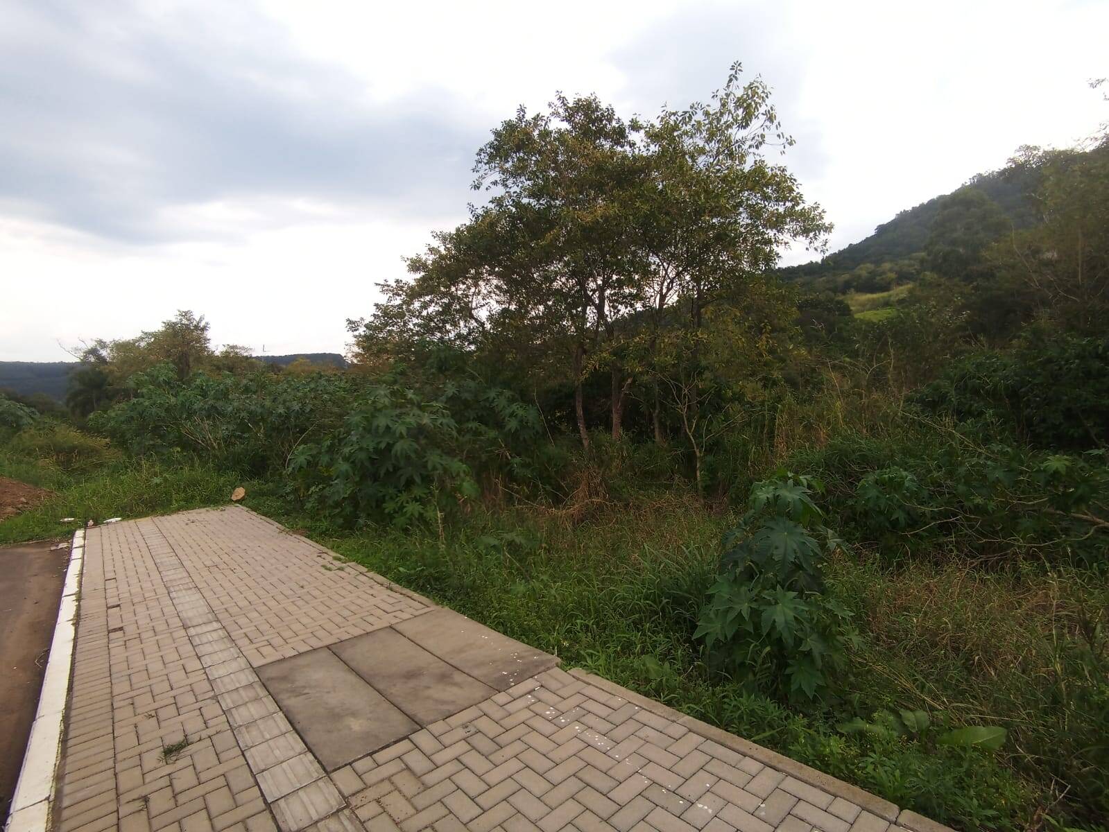 Área de terras com 20.000m2 no Vale Real