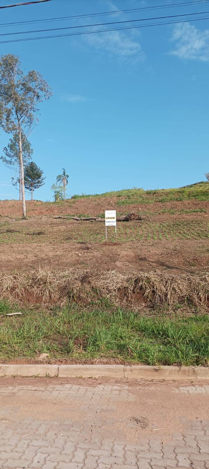 #1841 - Área para Venda em Feliz - RS
