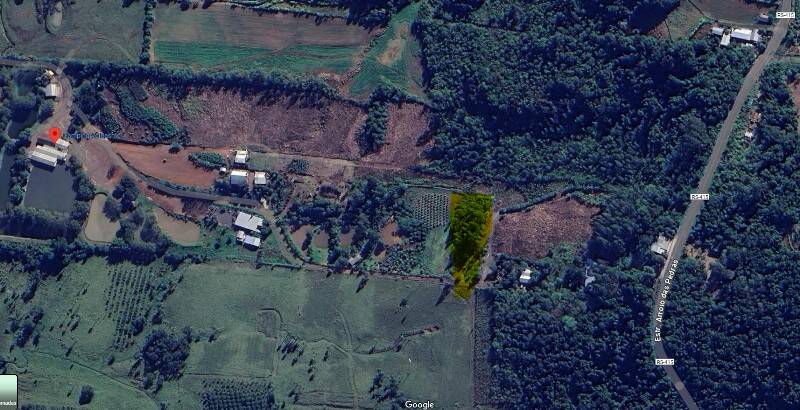 Area de terras frente para RS 122 em São Vendelino.
