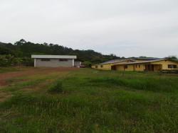 Comercial para Venda em Feliz - 5