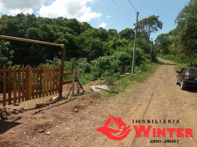 Terreno para Venda em Vale Real - 4