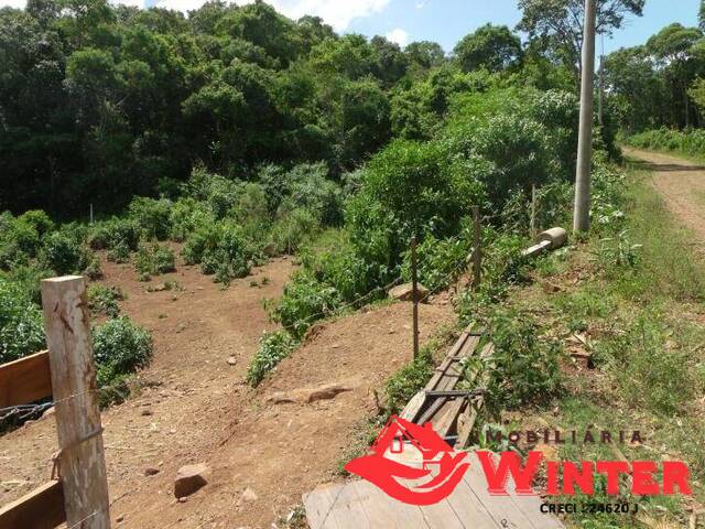 Terreno para Venda em Vale Real - 5
