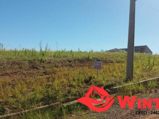 Terreno para Venda em Bom Princípio - 4