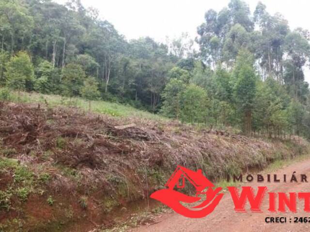 Área de terras para Venda em Alto Feliz - 5
