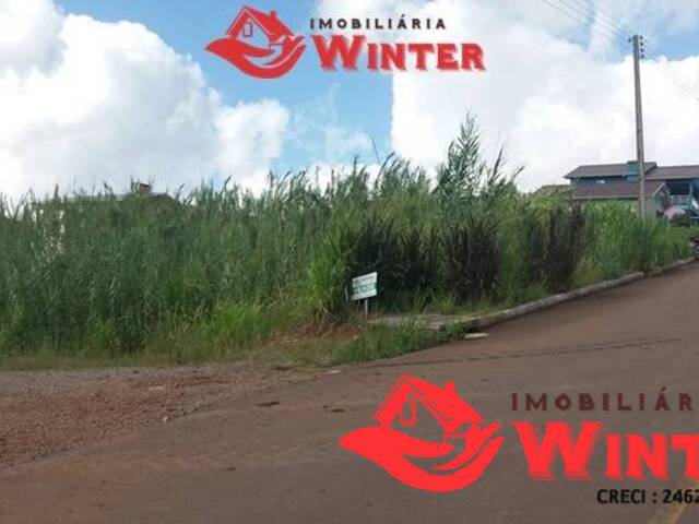 #640 - Área para Venda em Alto Feliz - RS - 3