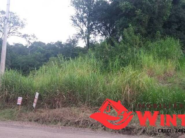 Terreno para Venda em Feliz - 4
