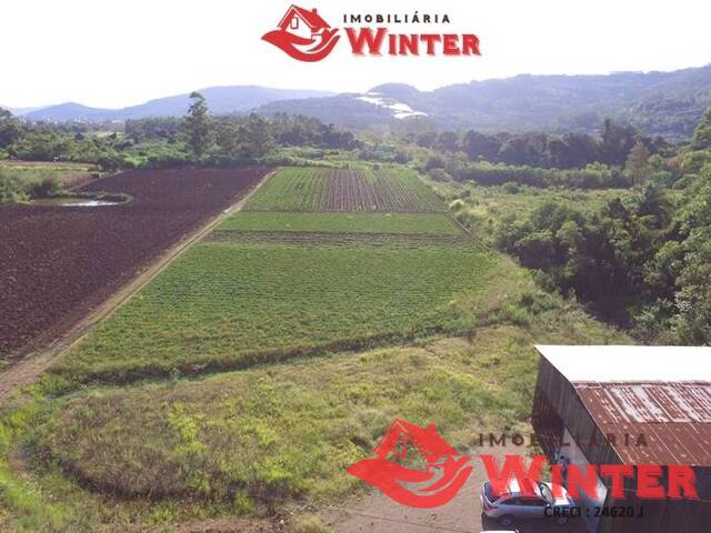 Área de terras para Venda em Feliz - 4