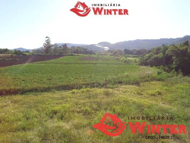 Área de terras para Venda em Feliz - 5