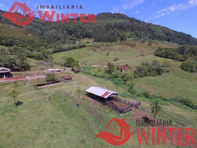 #685 - Área de terras para Venda em Linha Nova - RS