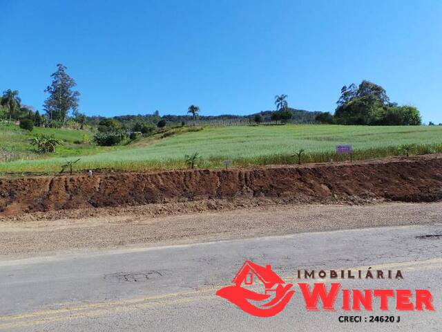 Terreno para Venda em Feliz - 5