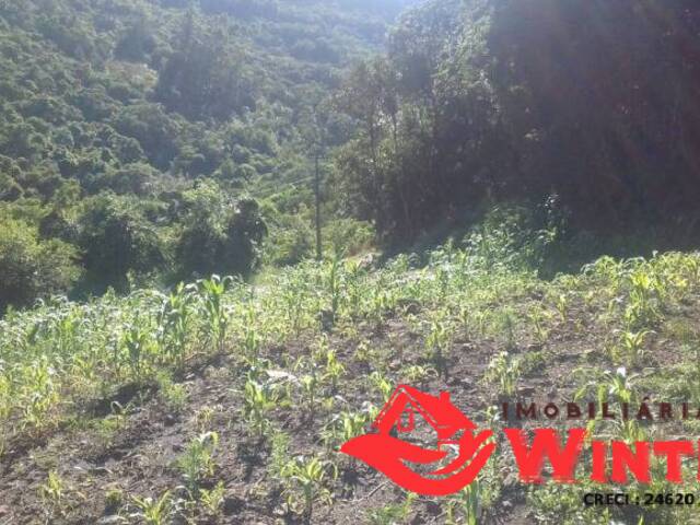 Área de terras para Venda em Feliz - 5
