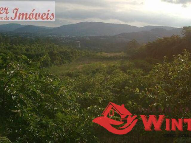 Área de terras para Venda em Feliz - 3