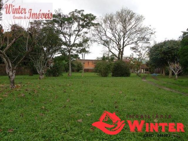 Terreno para Venda em Feliz - 2