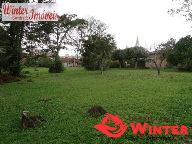 Terreno para Venda em Feliz - 5