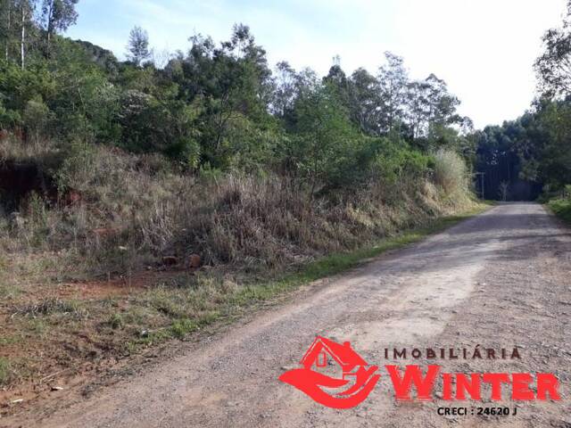 Área de terras para Venda em Vale Real - 5