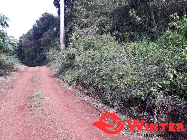 Área de terras para Venda em Feliz - 5