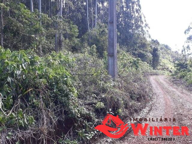 Área de terras para Venda em Feliz - 4