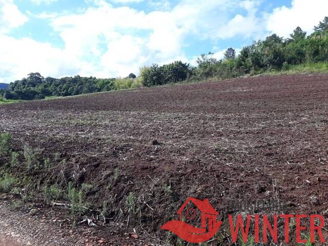 Área de terras para Venda em Feliz - 5
