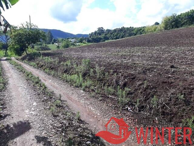 Área de terras para Venda em Feliz - 4