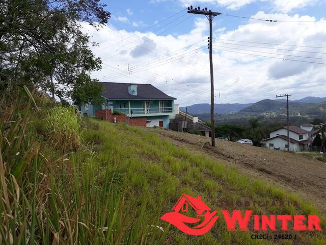 Terreno para Venda em Feliz - 4