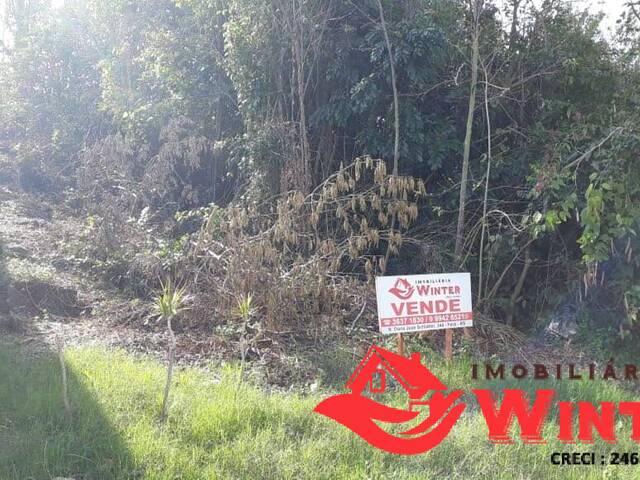 Terreno para Venda em Feliz - 5