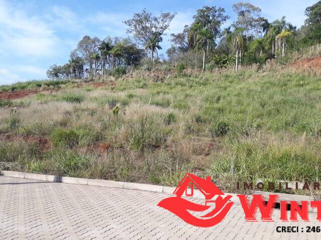 Terreno para Venda em Feliz - 2