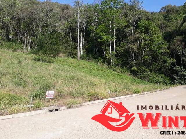Terreno para Venda em Feliz - 5