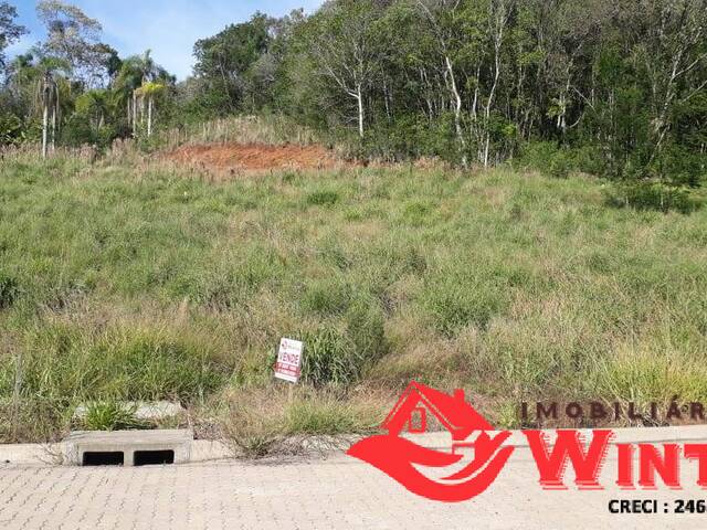 Terreno para Venda em Feliz - 3