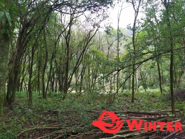 Terreno para Venda em Bom Princípio - 4