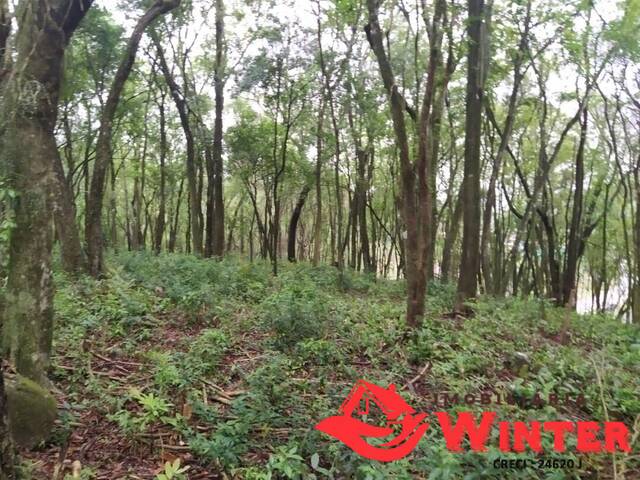 Terreno para Venda em Bom Princípio - 5