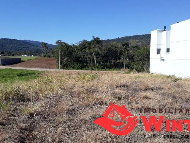 Terreno para Venda em Feliz - 5