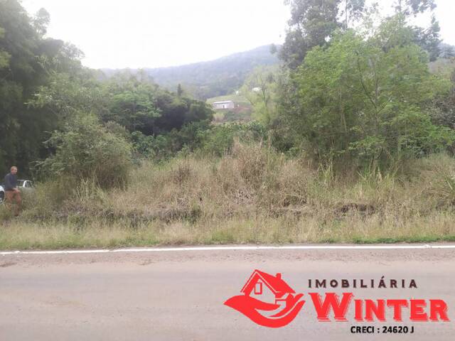 #972 - Terreno para Venda em Feliz - RS - 2
