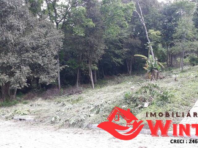 Terreno para Venda em Feliz - 5