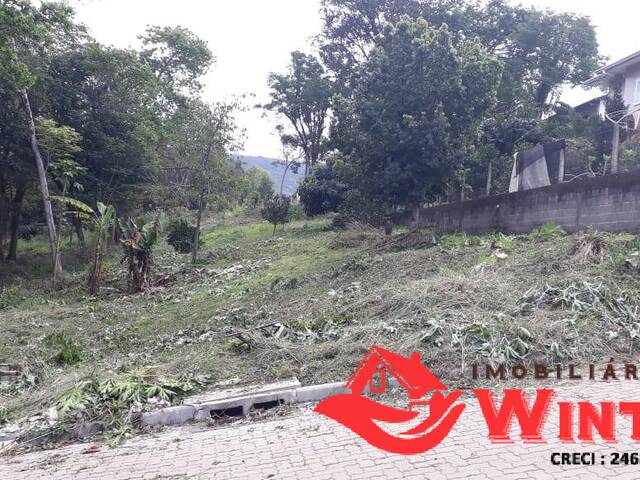 Terreno para Venda em Feliz - 4
