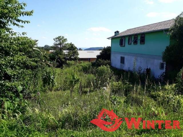 Terreno para Venda em Linha Nova - 5
