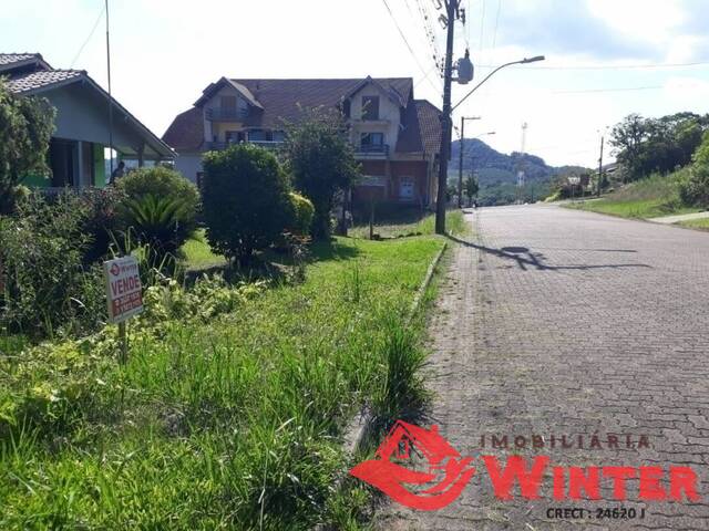 Terreno para Venda em Linha Nova - 4