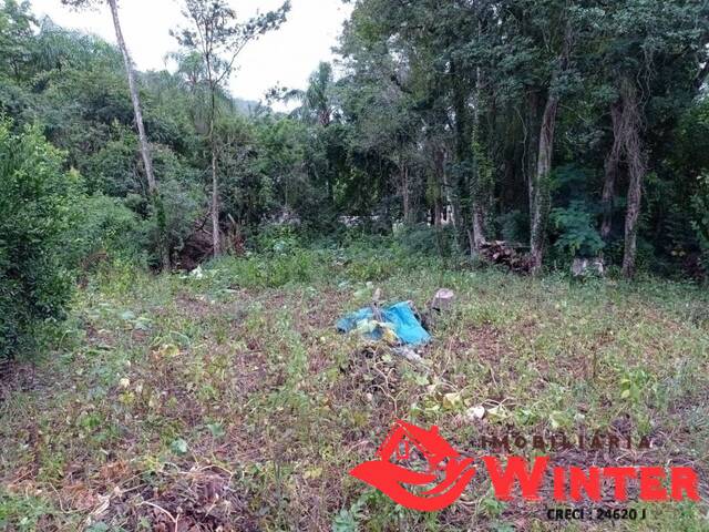 Terreno para Venda em São José do Hortêncio - 5