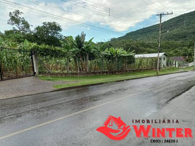Terreno para Venda em Feliz - 4