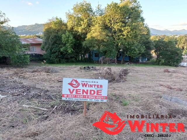 Terreno para Venda em Feliz - 5