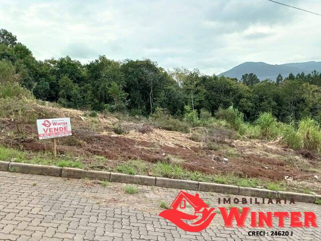 Terreno para Venda em Vale Real - 5