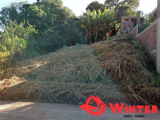#1051 - Terreno para Venda em Feliz - RS - 3