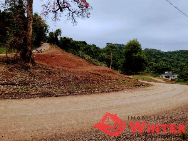 #725 - Área para Venda em Feliz - RS - 1