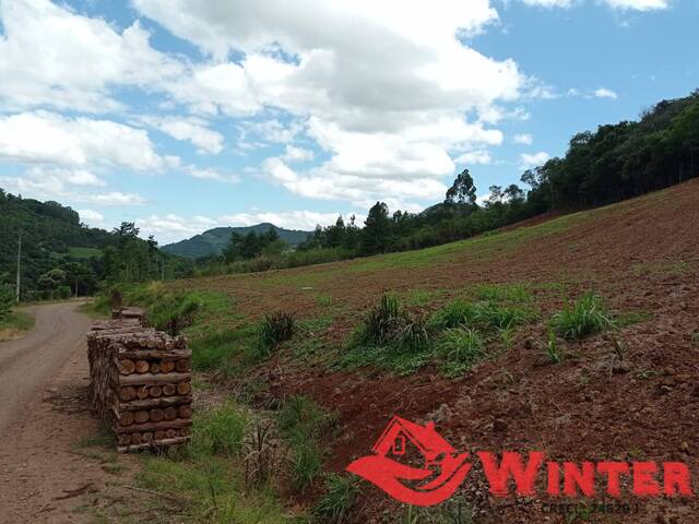 Área de terras para Venda em Alto Feliz - 4