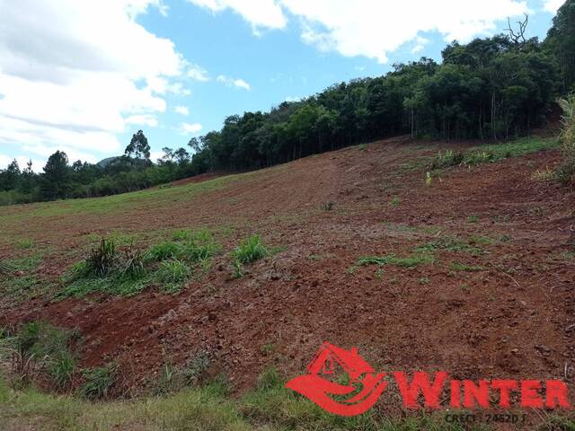 Área de terras para Venda em Alto Feliz - 5