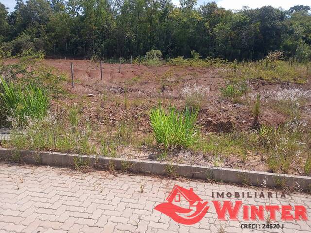 Terreno para Venda em Feliz - 4