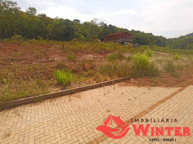 Terreno para Venda em Feliz - 5